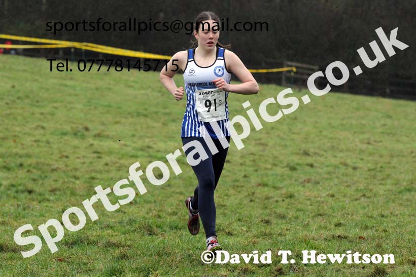 Girls under-15s, NECAA Junior Cross Country Relays, Thornley Farm, Peterlee, Saturday, December 12th. Photo: David T. Hewitson/Sports for All Pics
